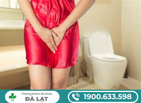 Hình ảnh minh họa